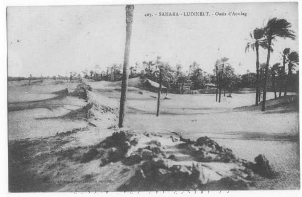 SAHARA.LUDIKELT L OASIS D AOULEG.JPG